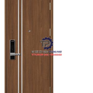 Cửa thép vân gỗ tại Xuyên Mộc